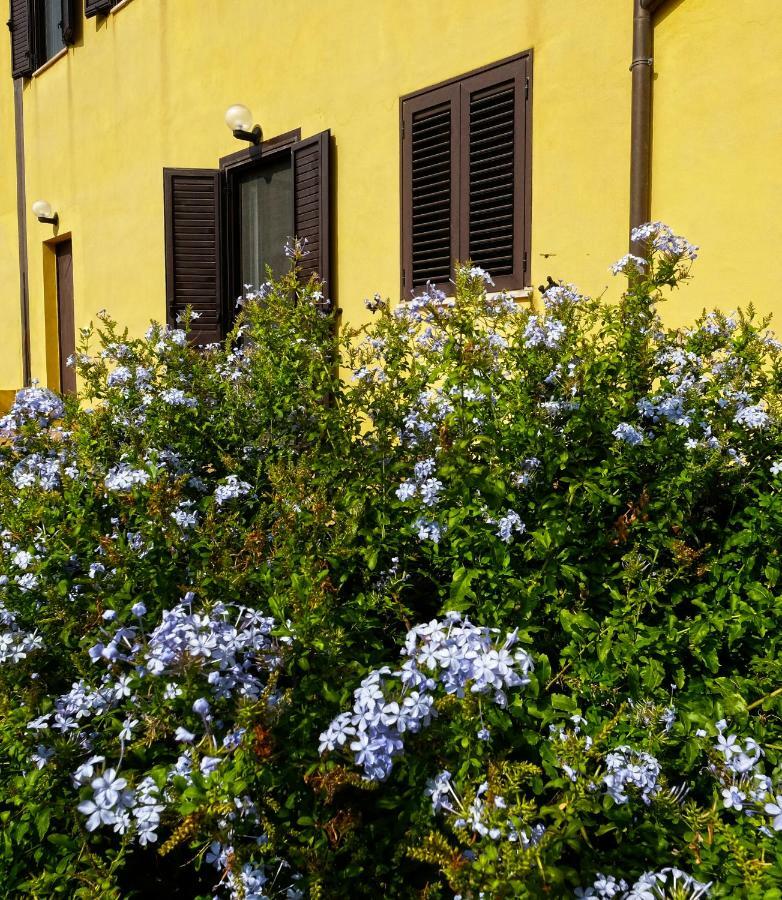 Vistazzurra B&B Ancona Exterior photo